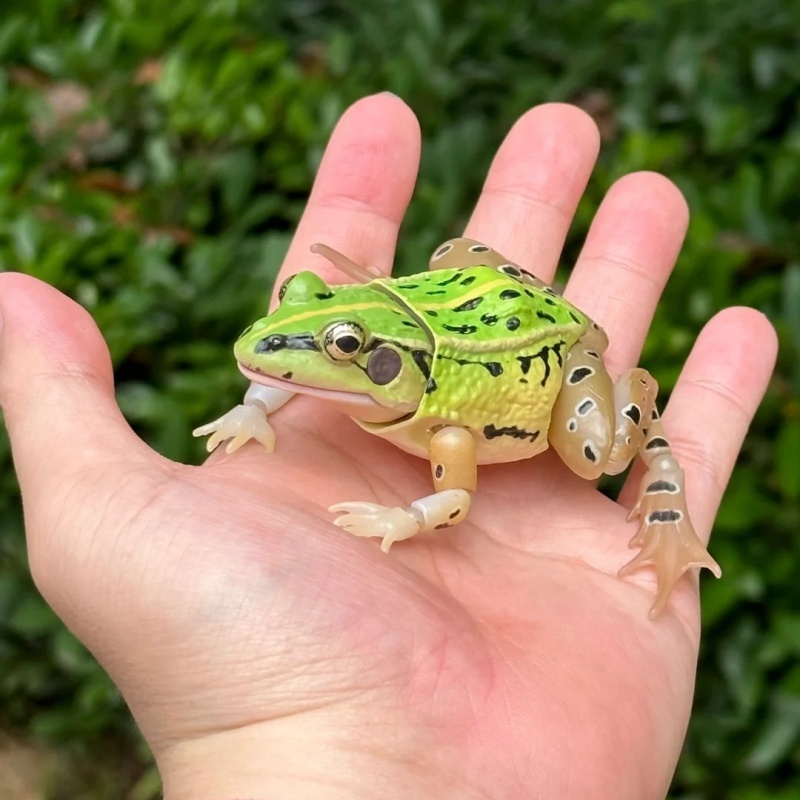 Science Nature - BANDAI Offizieller realistischer schwarz gepunkteter Frosch-Gashapon