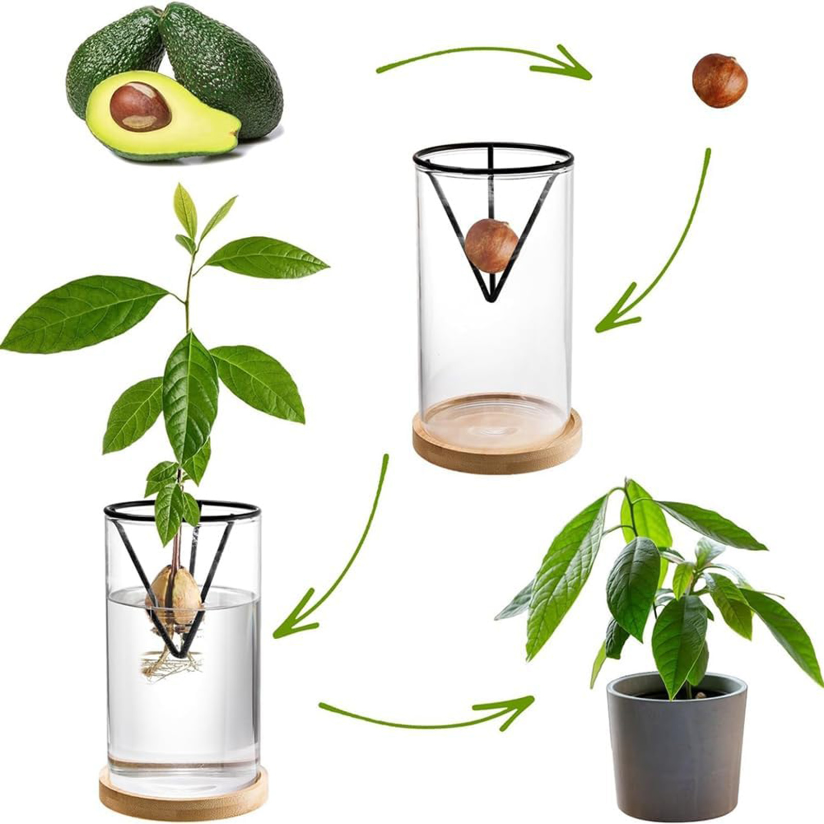 1Set Avocado Baum Wachsenden K – Crystal Growing Kit Bewertung und Preis