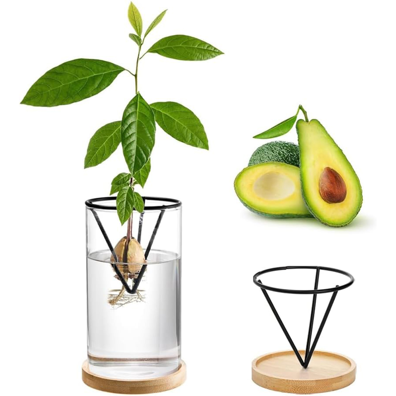 1Set Avocado Baum Wachsenden K – Crystal Growing Kit Bewertung und Preis