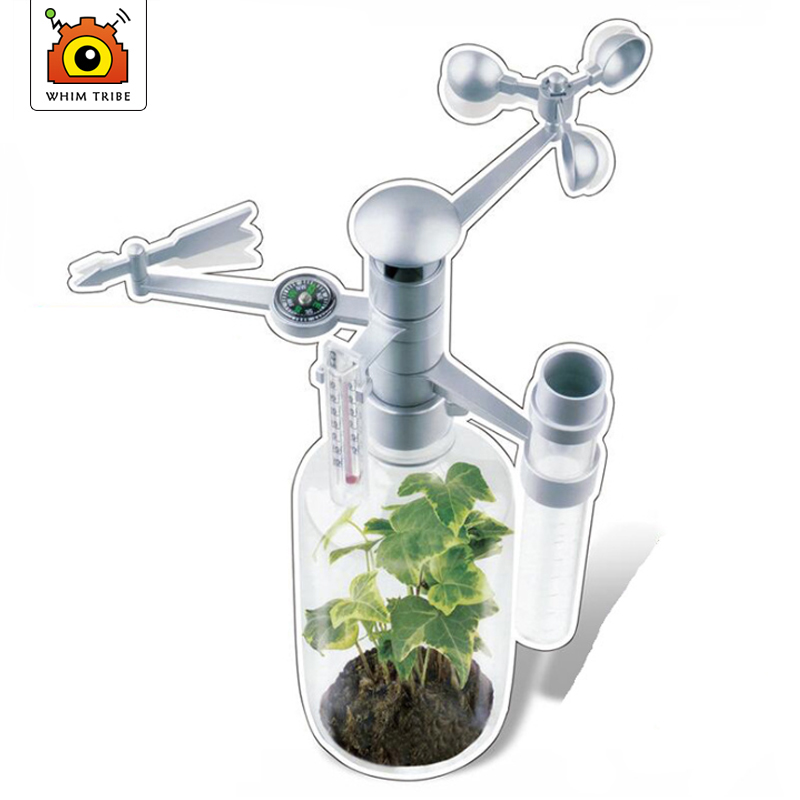 DIY ToySet Intellektuelle Wiss – Science Nature Bewertung und Preis