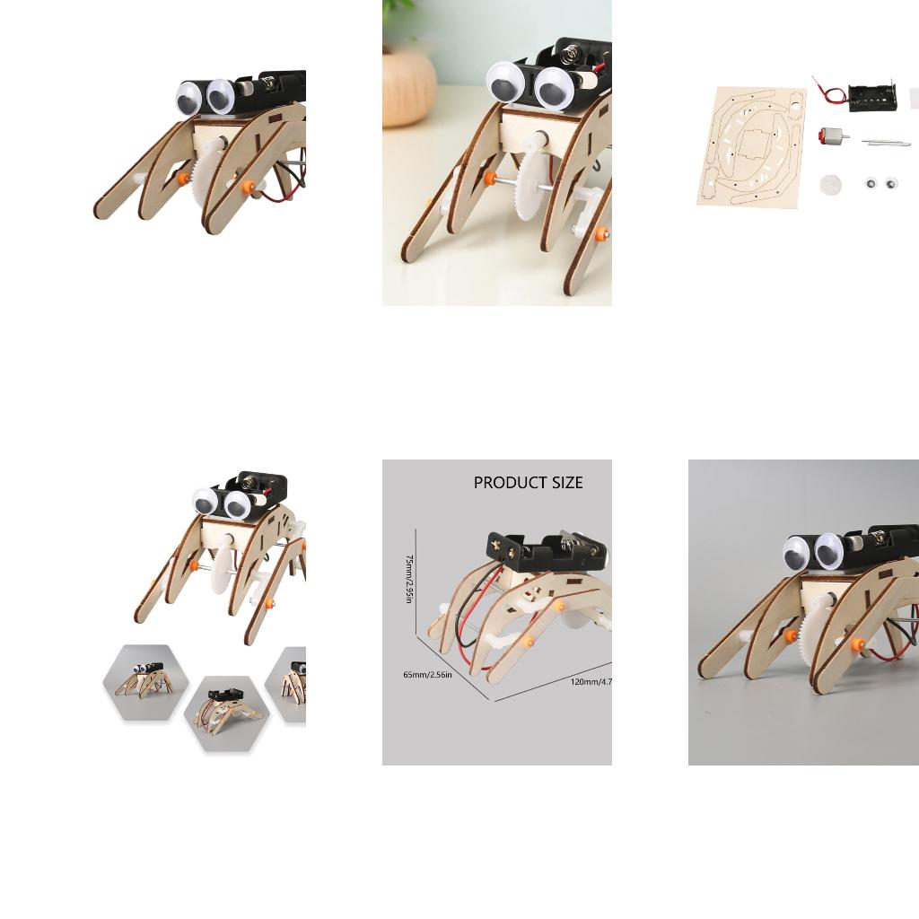Mechanisches Insektenphysik-Ex – Science Project Physics Bewertung und Preis