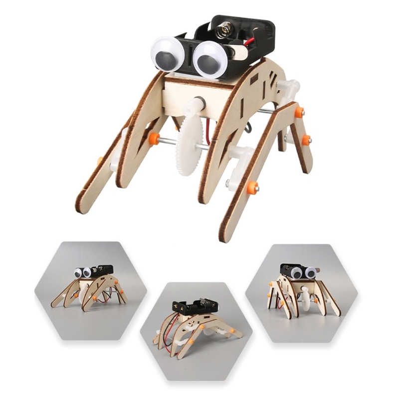 Mechanisches Insektenphysik-Ex – Science Project Physics Bewertung und Preis