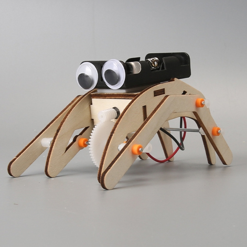 Mechanisches Insektenphysik-Ex – Science Project Physics Bewertung und Preis